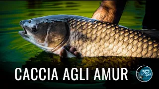 CACCIA AGLI AMUR | CARPFISHING IN CAVA