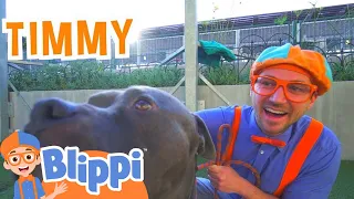 Blippi Visits Doggies at the Animal Shelter | Kids Show | Toddler Learning Cartoons | Furry Friends