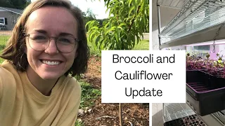 Low Input Gardening // Planting Broccoli, Cauliflower, and Herbs // Homesteading on only one acre