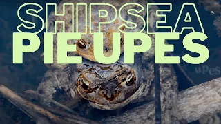 Shipsea — Pie Upes (Lyric Video)