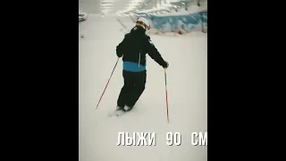 На лыжах UPS 90 см