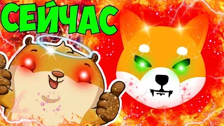 SHIB INU ШИТОШИ КУСАМА ЭТО ТОТ САМЫЙ МАНИПУЛЯТОР! ЗАПУСК ШИБАРИУМА SHIBA INU TOKEN! ПРОГНОЗ ШИБЫ