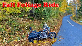 #313 Beautiful Fall Foliage Ride in Snoqualmie, WA | HDCI Seattle USA