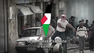 "Rossa Palestina" - Italian Pro-Palestinian Song