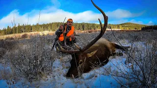 Bull Elk Down | Monster Colorado Public Land Bull of a Lifetime | Rifle Season 2021