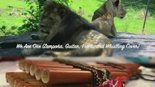 We Are One - The Lion King II (Pan Flute Cover)