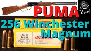 Puma no calibre 256 Winchester Magnum #shotcast #resenhadasarmas #cortesshotcast