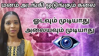 மனம் அடங்கி ஒடுங்கும் இதை செய்தால்| Kundalini meditation| vethathiri maharishi | Tharcharbu vazhkai