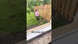 Bird poop prank on mom