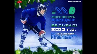 Море Спорта  Hockey Cup 2013 г.р. ХК Темп - ХК  Торпедо от 23.01.2021