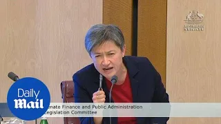 Mathias Cormann and Penny Wong have fiery exchange over Hanson