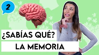 La MEMORIA ¿Es PELIGROSA? | Ac2ality
