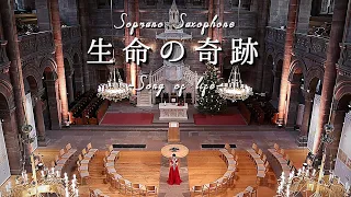 [ Soprano Sax ] 生命の奇跡 - Song of life - / 村松崇継 - Takatsugu Muramatsu