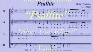 Psallite-Praetorius-Tenor-Singt Und Klingt.wmv