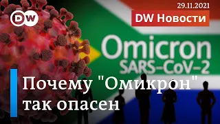 Почему Омикрон так опасен: о самом заразном варианте коронавируса. DW Новости (29.11.2021)