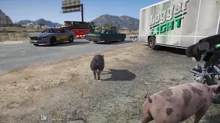 GTA 5 Roleplay - Aspirant RP - Pigs on LSPD