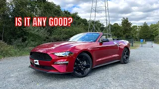 2022 Ford Mustang ECOBOOST - REVIEW and POV DRIVE! BEST Budget Sports Car?