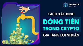 Cách xác định dòng tiền trong Crypto để gia tăng lợi nhuận