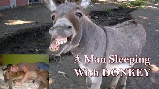 GUY Caught His Friend Sleeping With DONKEY  2018