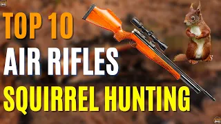 Top 10 Best Air Rifle for Squirrel Hunting | Best Air Rifles 2024