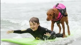 Dog surfing on ESPN's Sport's Center | Surf Dog Ricochet