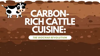 Carbon rich cattle cuisine: The biochar revolution