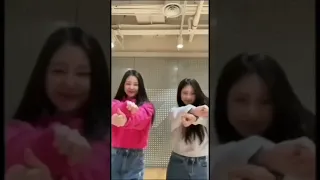 BabyMonster dancing to Jisoo - “Flower” #jisoo_flower #jisoo #babymonster #shorts