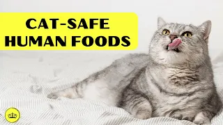 12 Human Foods Your Cat Will Love (and That Are Safe for Him!)