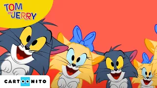 Tom und Jerry | Familiensegen | Cartoonito