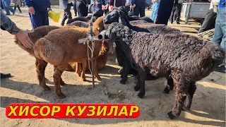 ХОРАЗМ КУЙ БОЗОР НАРХЛАРИ  17-МАЙ 2023