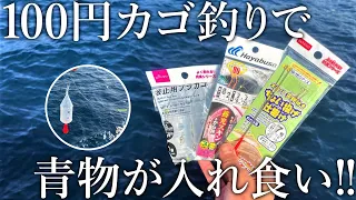 【カゴ釣りを始めたい方へ】ダイソー釣具で組んだカゴ釣りでも堤防から青物が入れ食い！