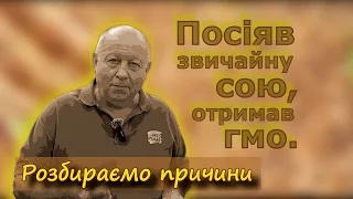 Посіяв звичайну сою, отримав ГМО. Розбираємо причини.