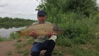 Ловля сазана на реке Меша. Рыбалка в Татарстане.