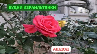 Поездка по Ашдоду. Мои покупки. День Победы. Израиль