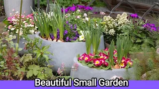 Beautiful Small Backyard / Spring Cottage Garden / Garden Inspiration