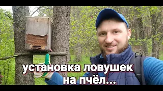 Ловушки на пчёл, как и куда их поставить...