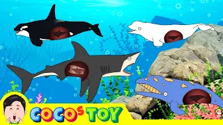 The baby shark and baby whales were born at my fish tankㅣwhales cartoon for kidsㅣCoCosToy