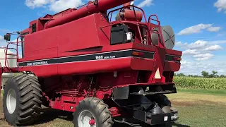 Case-IH 1688 Combine for sale