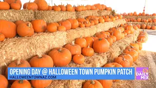 Halloween Town Pumpkin Patch