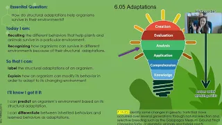 Lesson Introduction- Adaptations