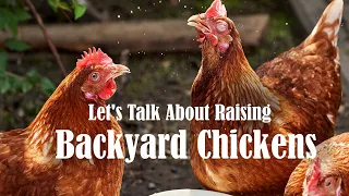 Interested in Raising Backyard Chickens? Let's Get the Conversation Started