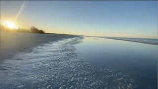 Shelling SUPER Low Tide vs. High Tide - Ten Thousand Islands, Florida