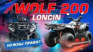 Обзор на Loncin Xwolf 200. Нужны права? #квадроцикл #loncin #atv