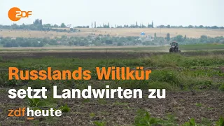 Zielscheibe im Ukraine-Krieg: Wie russische Angriffe am Dnipro Existenzen bedrohen | auslandsjournal