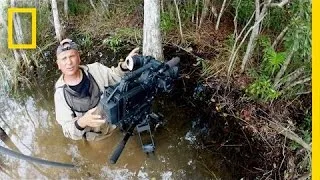 Swimming With Alligators (Behind the Scenes) | America's National Parks