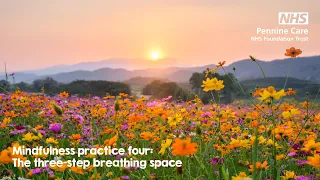 Mindfulness practice 4: The 3-step breathing space