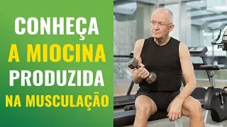 Conheça a poderosa enzima da saúde produzida pela musculação: a MIOCINA