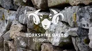 How to build a drystone wall - with the Young Rangers