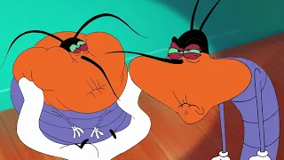 Oggy and the Cockroaches 😱 DEEDEE'S TRANSFORMATION - Full Episodes HD