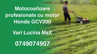 Curatare vegetatie folosind Vari Lucina MaX, o motocositoare profesionala cu motor termic Honda
